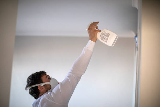 Best Commercial Mold Remediation in Potosi, TX