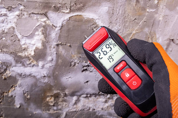 Best Bathroom Mold Remediation in Potosi, TX