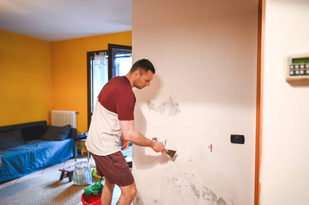 Professional Mold Remediation in Potosi, TX
