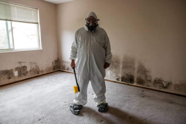 Best Mold Testing and Inspection Services in Potosi, TX